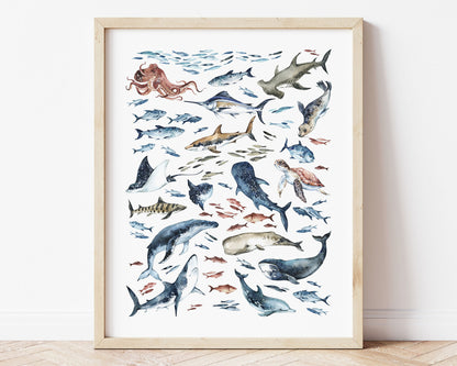 Watercolor Ocean Life Printable Wall Art featuring sharks, whales, dolphin, octopus, swordfish, seal, sea turtle, stingray, fish and so much more! Perfect for Baby Boy Coastal Nursery Decor, Baby Girl Nautical Nursery Wall Art or Ocean Kids Room Decor.