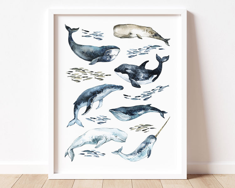 Watercolor Whale Printable Wall Art featuring orca, beluga, narwhal, humpback whales and more! Perfect for Baby Boy Ocean Nursery Decor, Baby Girl Coastal Nursery Wall Art or Nautical Kids Room Decor.