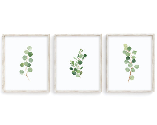 Watercolor Eucalyptus Set of 3 Printable Wall Art, Digital Download